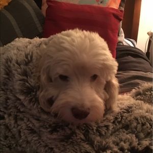 Meet your Posher, Sandra